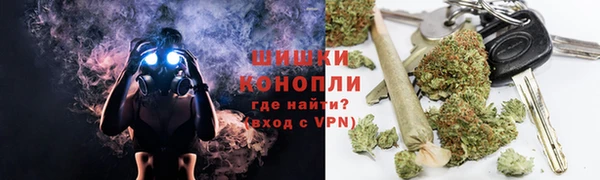 прущий лед Богданович