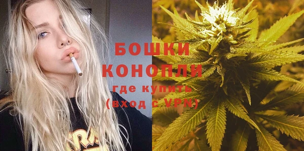 прущий лед Богданович