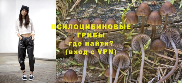 прущий лед Богданович