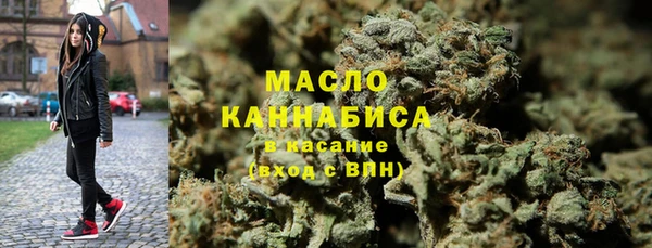 прущий лед Богданович