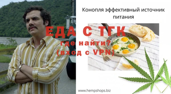 таблы Богородицк