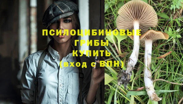 прущий лед Богданович
